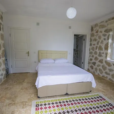 Villa Turkmen *